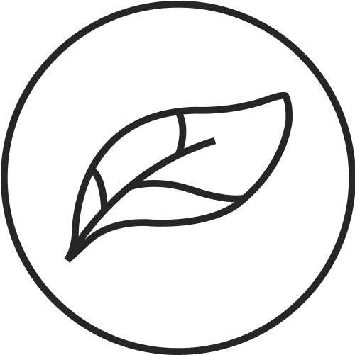 Thin And Lightweight