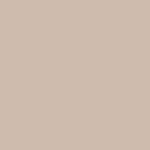 Khaki Beige Tiny Taxi Organiser