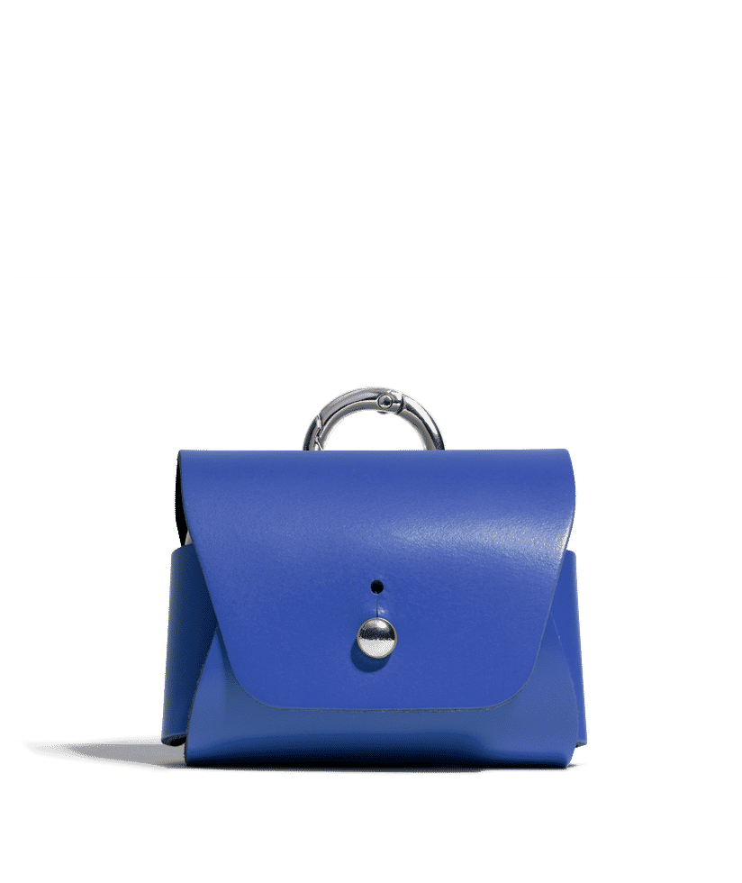 Celine bag airpod outlet case
